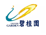 广西碧桂园地产
